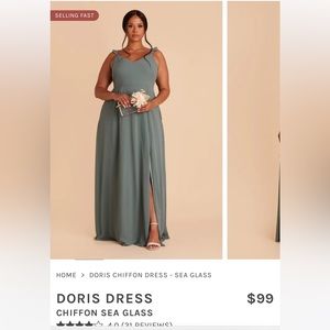 Birdy grey Doris dress sea glass chiffon